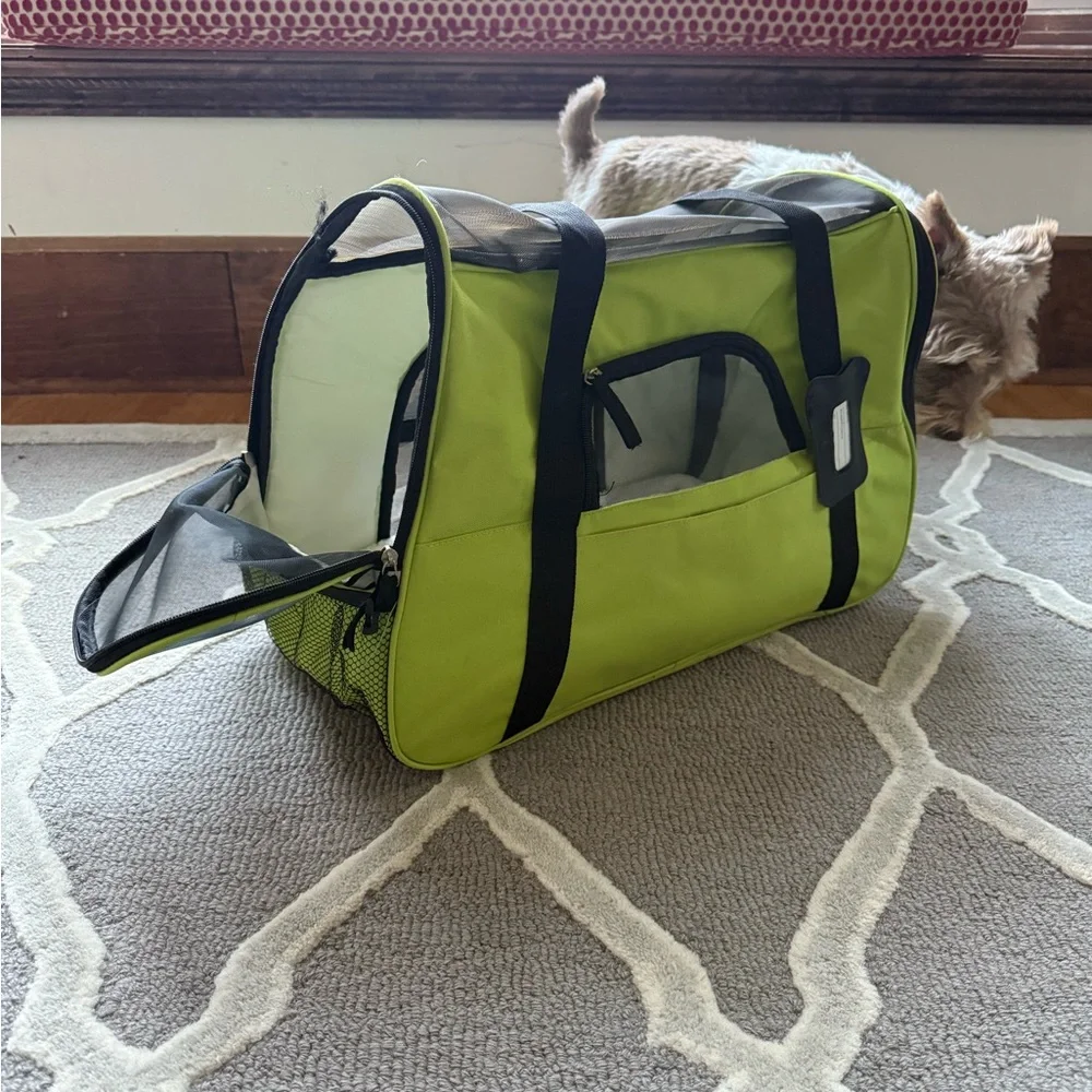 Green Dog Carrier with Mesh Panels